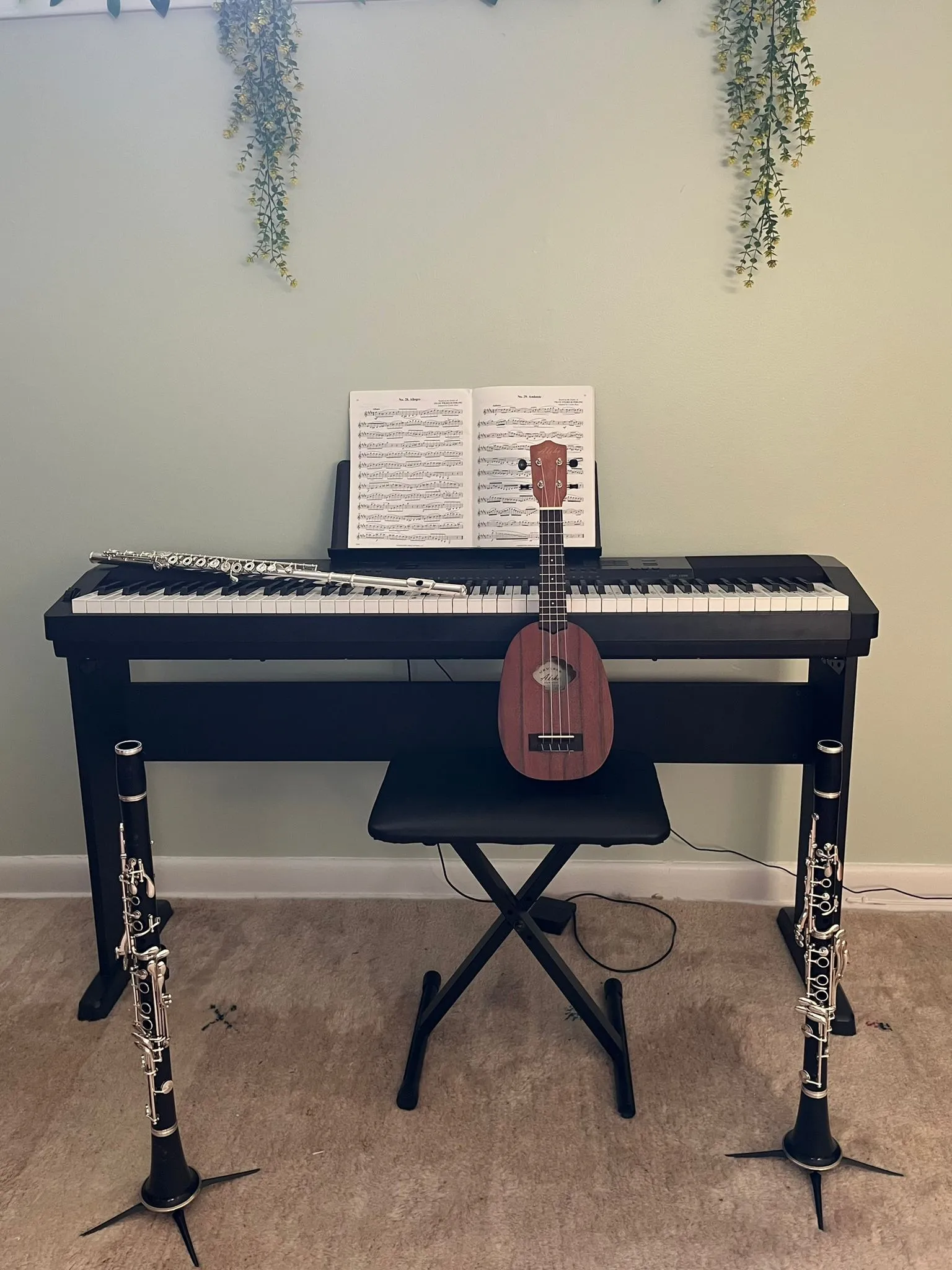 Ottawa studio piano with flute, ukulele, and clarinets